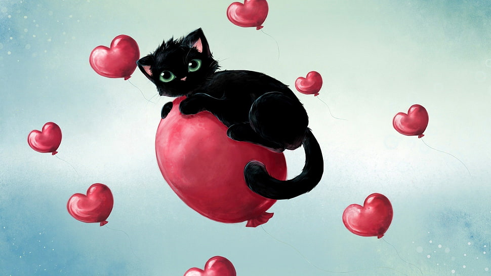black cat on a red heart balloon HD wallpaper
