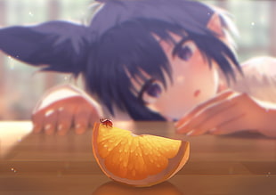 orange slice of fruit illustration, original characters, anime girls, animal ears HD wallpaper