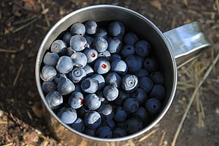berries in stainless steel mug HD wallpaper