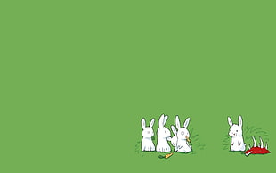 five white rabbits digital wallpaper, carnivore, rabbits, green background, minimalism