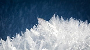 snow flakes, nature, landscape, winter, snow HD wallpaper