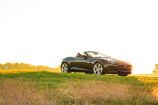 black convertible on green grass fields during daytime