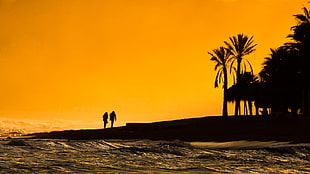 photo of couple walking near seashore during golden hour HD wallpaper