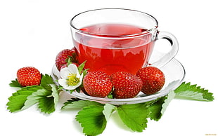 clear glass teacup with beverage surrounded by strawberries on saucer HD wallpaper