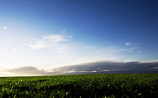 time lapse photography of green grass field under sunny cloud HD wallpaper