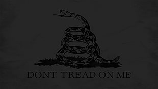 white and black text print wall decor, quote, libertarianism, snake, Gadsden Flag