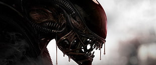 predator illustration, Alien (movie), movies, Xenomorph HD wallpaper
