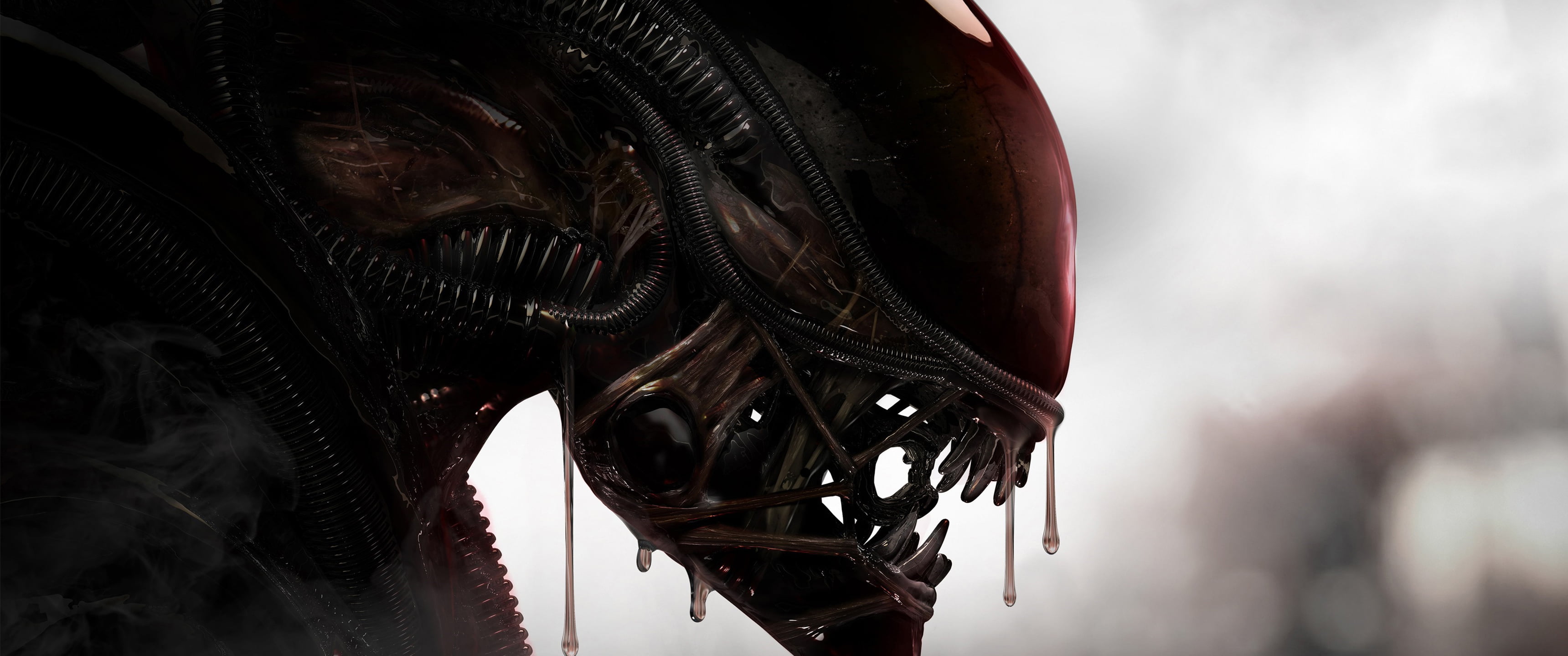 Wallpaper : 1920x1080 px, Alien vs Predator, Predator movie, Xenomorph  1920x1080 - wallpaperUp - 1038456 - HD Wallpapers - WallHere