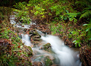 clear waterfall between of forest field