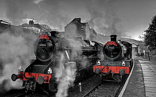 two black-and-red steam locomotive trains, railway, steam locomotive, train, train station