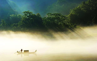 silhouette of man rowing boat, forest, boat, mist, reflection