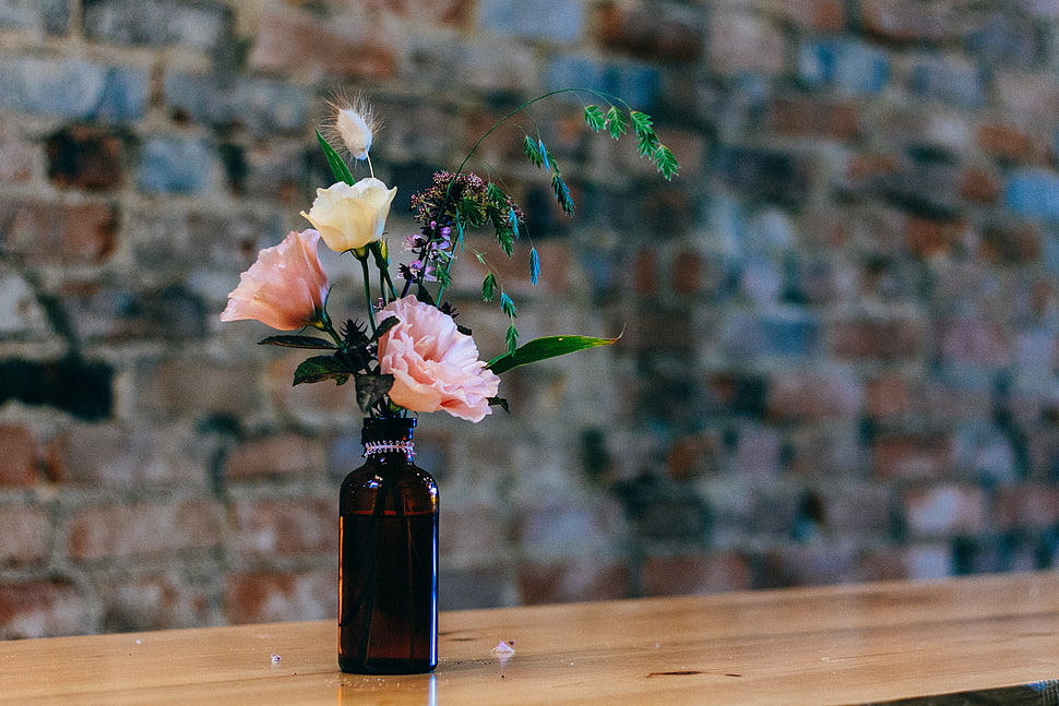 black glass bottle and petaled flowers HD wallpaper