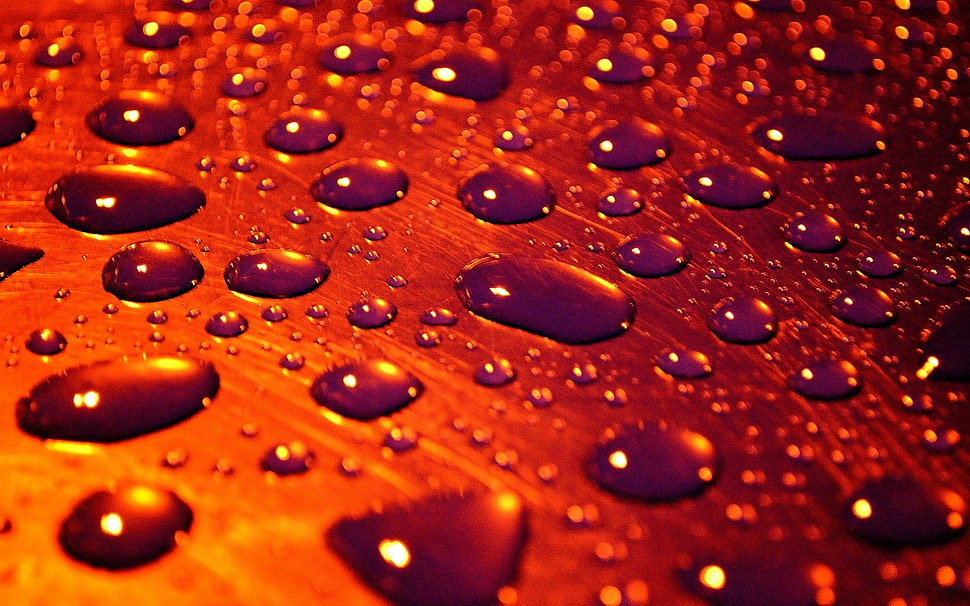 dew on orange glass HD wallpaper