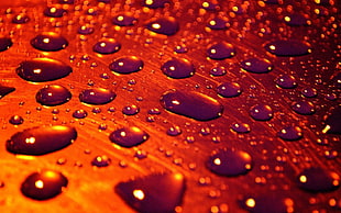 dew on orange glass