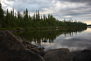 body of water, landscape, Karelia