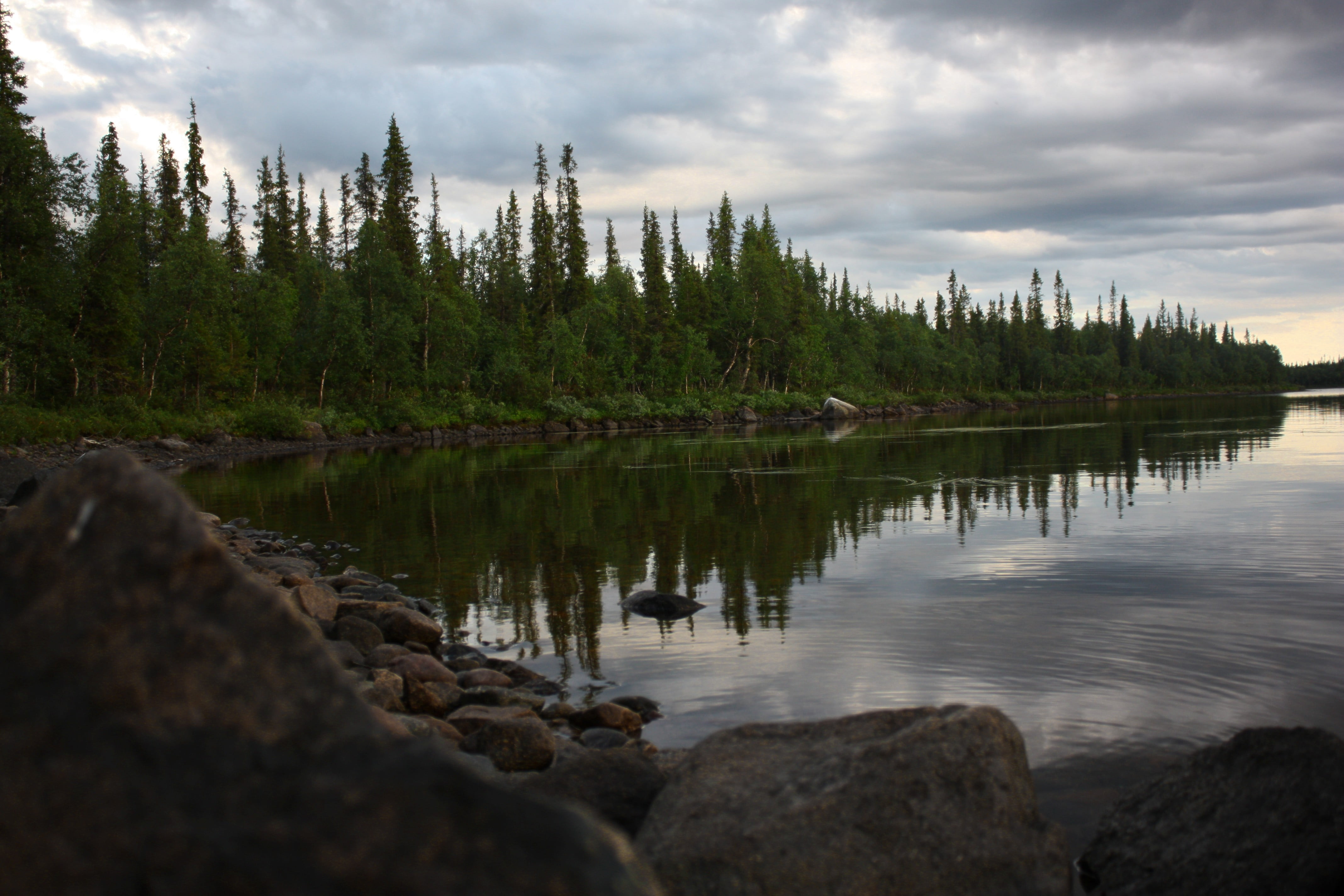 Body Of Water Landscape Karelia Hd Wallpaper Wallpaper Flare Images, Photos, Reviews