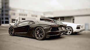 black Lamborghini Aventador and white Lamborghini sports coupe