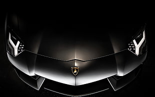 black \Lamborghini car, Lamborghini Aventador, car