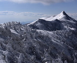 aerial photo of mountain covered with snow