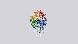 lion paint splatter painting, abstract, lion, animals, colorful HD wallpaper