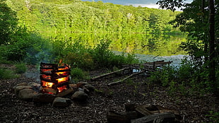 wooden bonfire, nature, campfire, pond, lake HD wallpaper