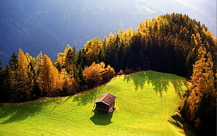 brown cabin on green grass field surrounded with trees overlooking forest during autumn season