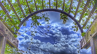 photography of arch-shaped frame with green leaf plants under dark clouds