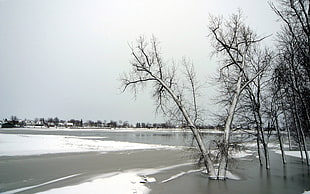 photo of lake with snow