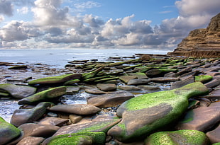 green and brown rocks on the sea shore during morning HD wallpaper