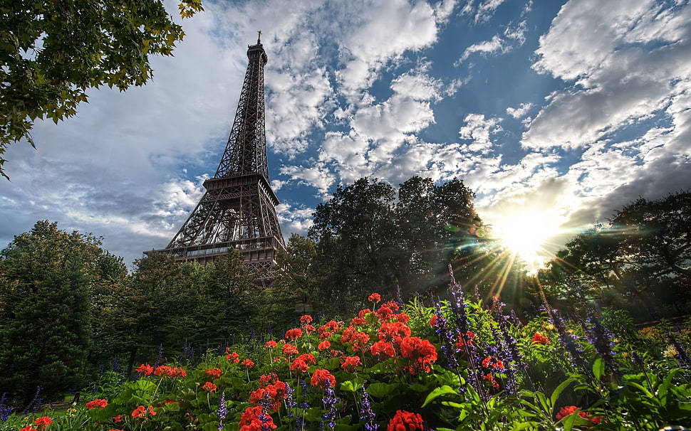 Eiffel tower during daytime HD wallpaper
