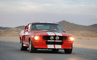red and white Shelby Cobra, Ford Mustang HD wallpaper