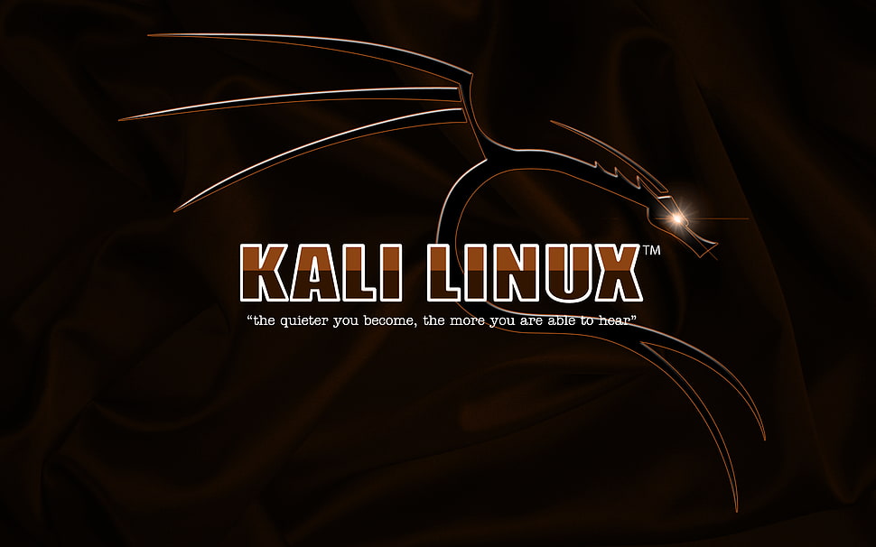 black and red Harley-Davidson Motorcycles signage, Kali Linux HD wallpaper