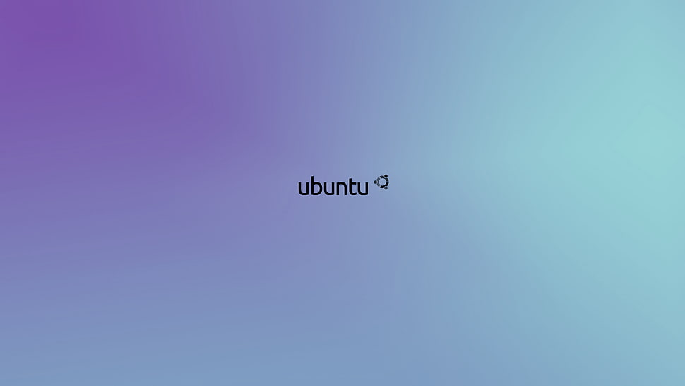 Ubuntu text on gray background HD wallpaper