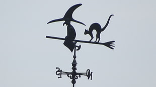 black wind vane, witch HD wallpaper