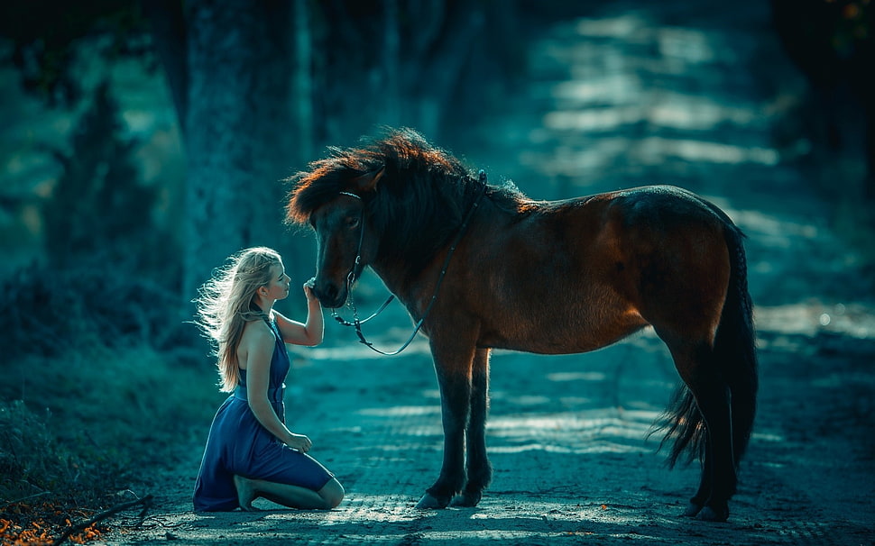 brown horse, horse HD wallpaper