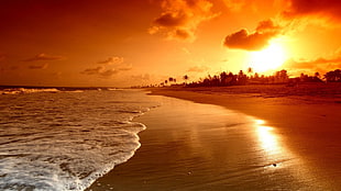 white and brown wooden table, sunset, sunlight, Sun, landscape