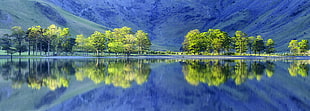 green trees beside body of water during daytime, buttermere