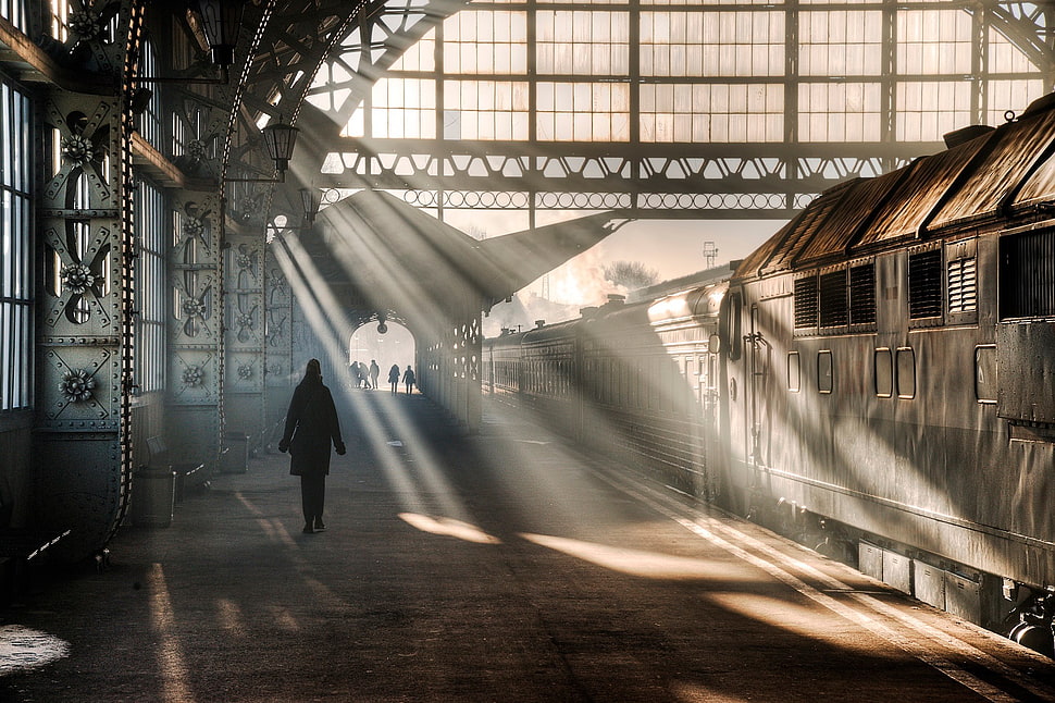 gray train, St. Petersburg, train station, train HD wallpaper