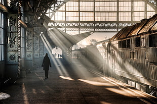 gray train, St. Petersburg, train station, train HD wallpaper
