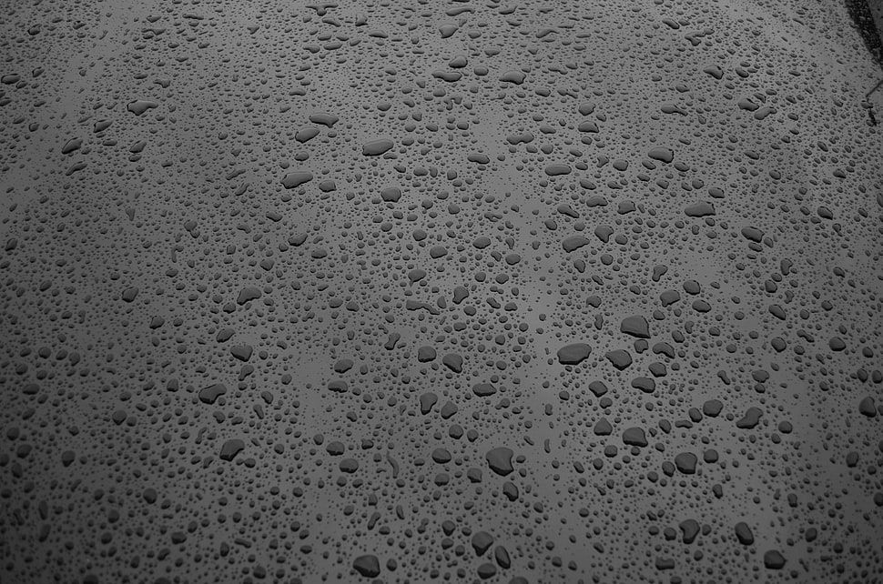 Surface,  Drops,  Bw HD wallpaper