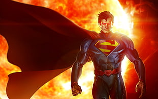 Superman character illustration HD wallpaper