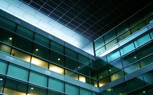 curtain wall building, architecture