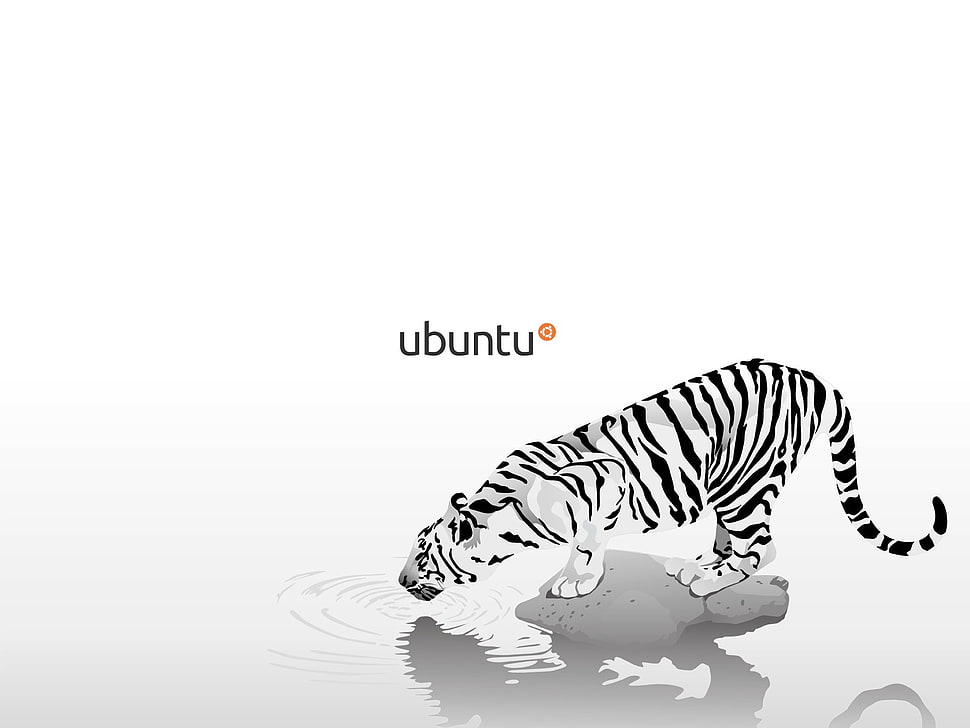 white tiger illustration, Linux, GNU, Ubuntu HD wallpaper