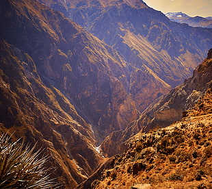 landscape photography of brown mountains, peru