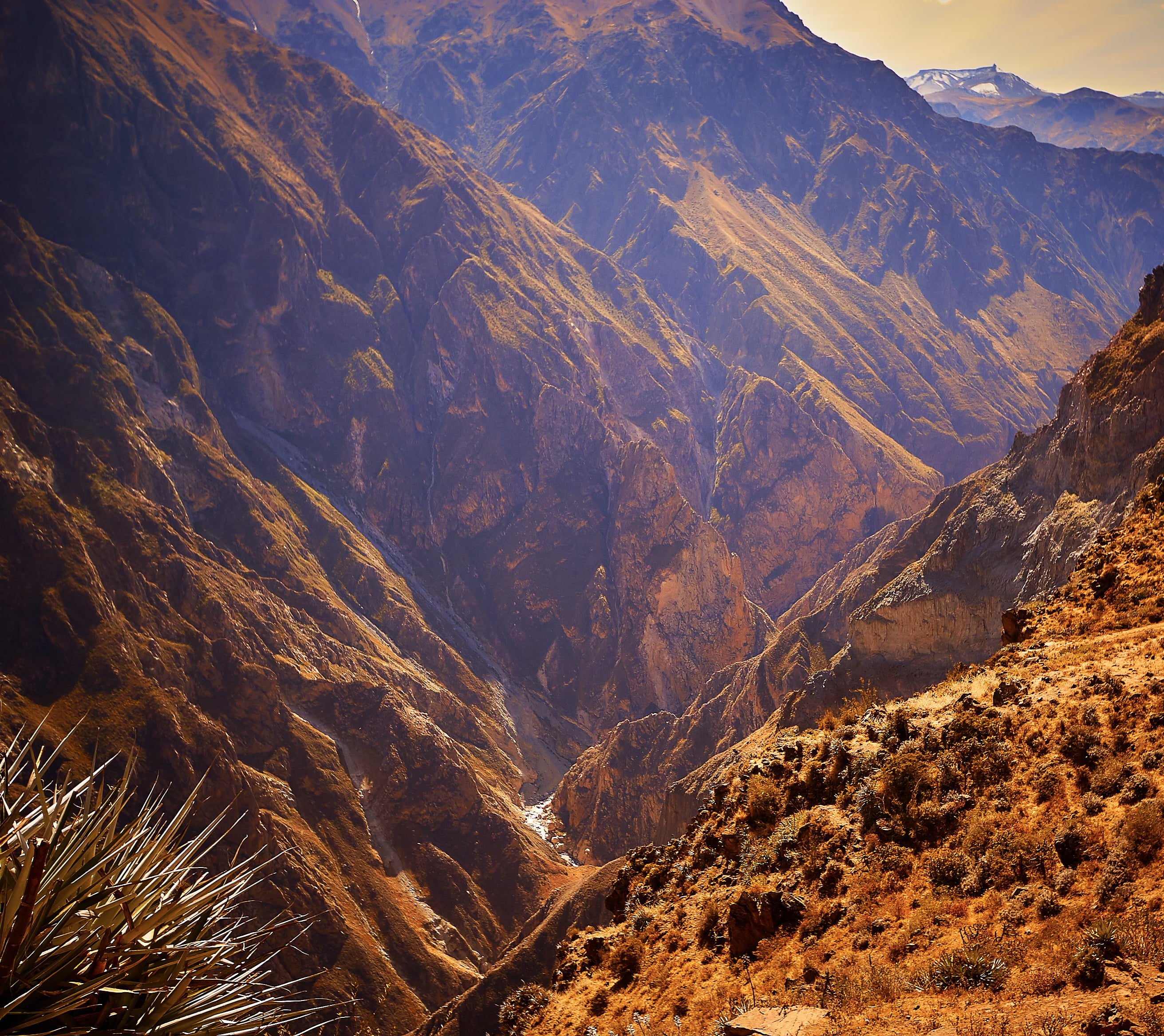 landscape photography of brown mountains, peru