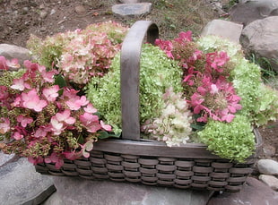 gray wicker basket filled with flowers HD wallpaper