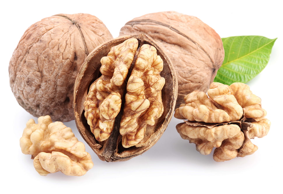 photo of wallnuts on white surface HD wallpaper