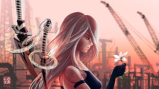 white haired female with swords illustration