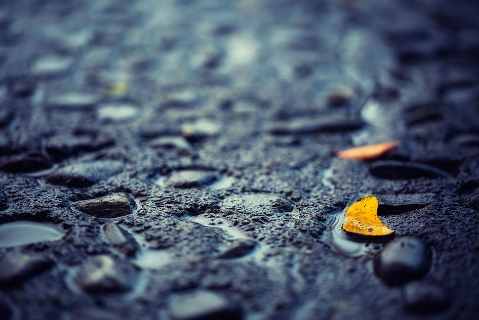 wallpaper of road HD wallpaper