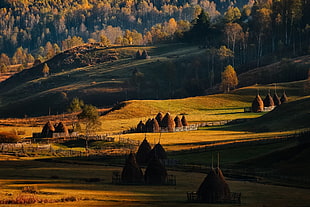 brown houses beside green leaf trees near mountain